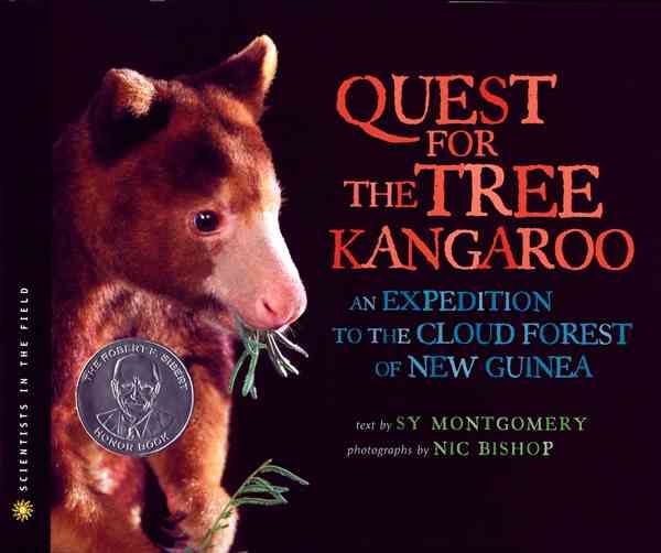 Produktbild: Quest For The Tree Kangaroo