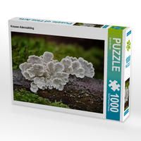 Produktbild: CALVENDO Puzzle Krauser-Adernz&auml;hling 1000 Teile Lege-Gr&ouml;&szlig;e 64 x 48 cm Foto-Puzzle Bild von Beate Wurster