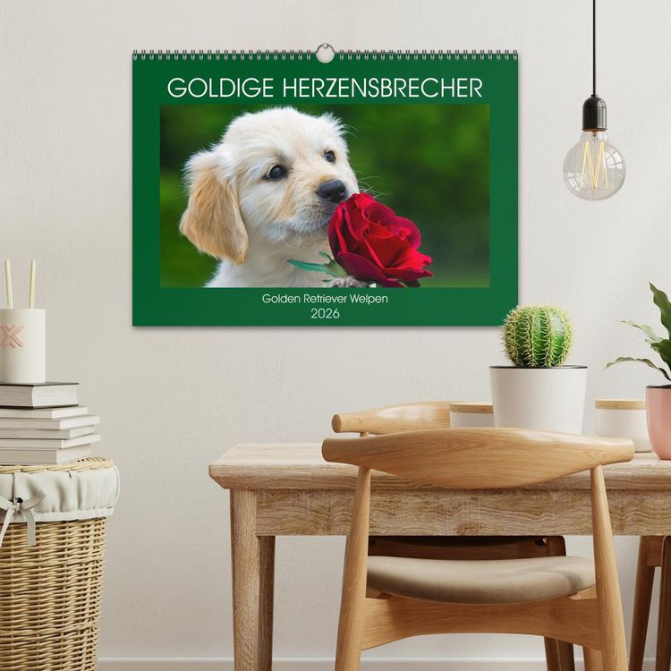Produktbild: Goldige Herzensbrecher - Golden Retriever Welpen (Wandkalender 2026 DIN A3 quer), CALVENDO Monatskalender