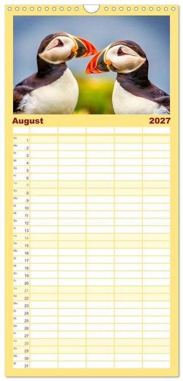 Produktbild: Familienplaner 2027 - Tieftaucher Papageitaucher mit 5 Spalten (Wandkalender, 21 x 45 cm) CALVENDO