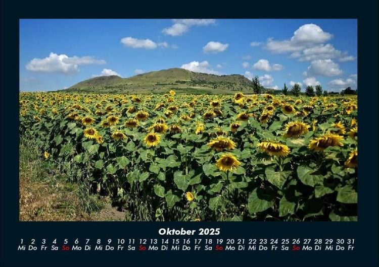 Produktbild: Blumentr&auml;ume 2025 Fotokalender DIN A4