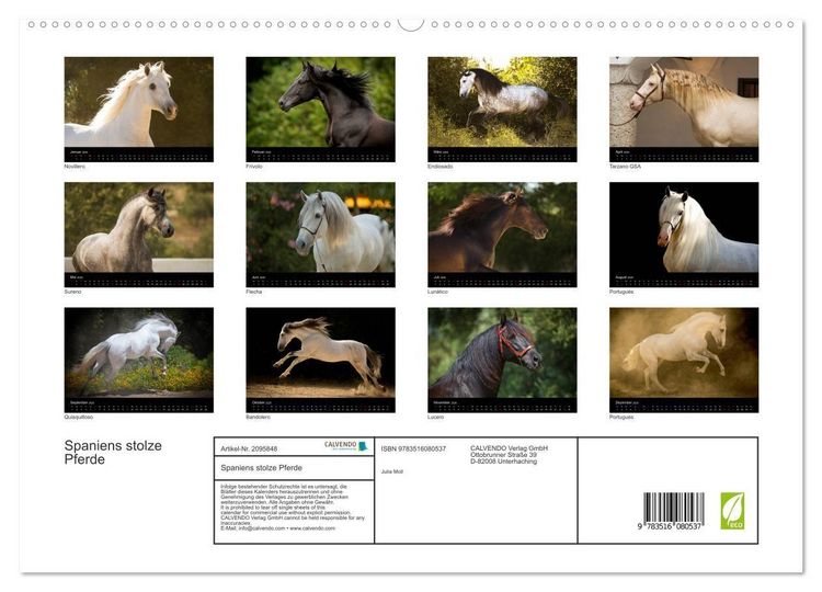 Produktbild: Spaniens stolze Pferde (hochwertiger Premium Wandkalender 2026 DIN A2 quer), Kunstdruck in Hochglanz