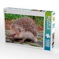 Produktbild: CALVENDO Puzzle Igel 1000 Teile Lege-Gr&ouml;&szlig;e 64 x 48 cm Foto-Puzzle Bild von Sabine L&ouml;wer