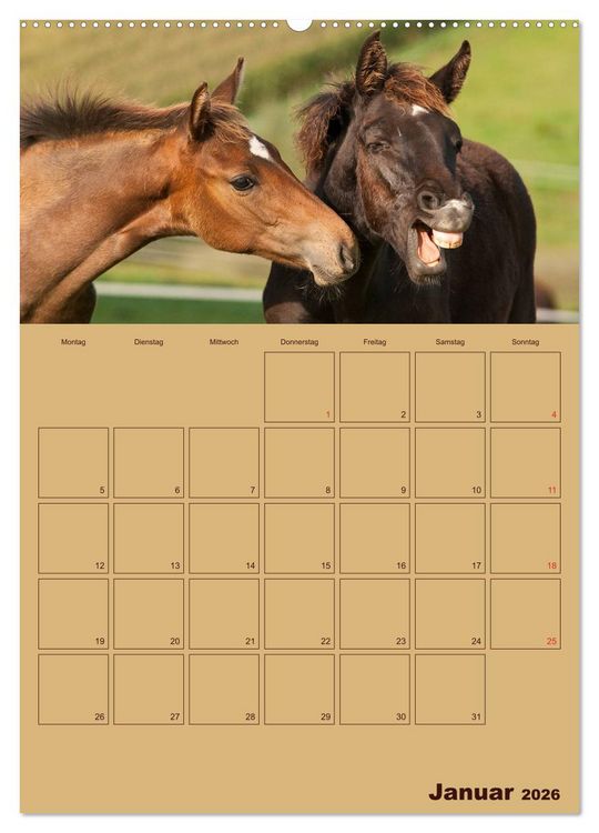 Produktbild: Pferde Gute Freunde (hochwertiger Premium Wandkalender 2026 DIN A2 hoch), Kunstdruck in Hochglanz