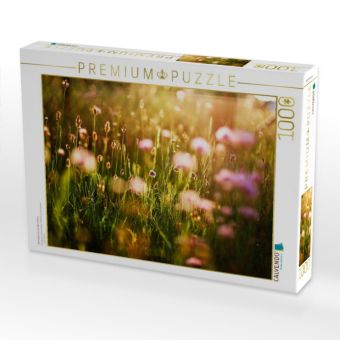 Produktbild: CALVENDO Puzzle Abendsonne auf der Wiese | 1000 Teile Lege-Gr&ouml;&szlig;e 64x48cm Foto-Puzzle f&uuml;r gl&uuml;ckliche Stunden