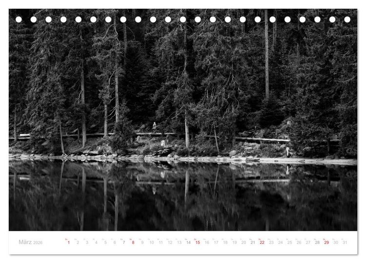 Produktbild: Mystischer Schwarzwald (Tischkalender 2026 DIN A5 quer), CALVENDO Monatskalender