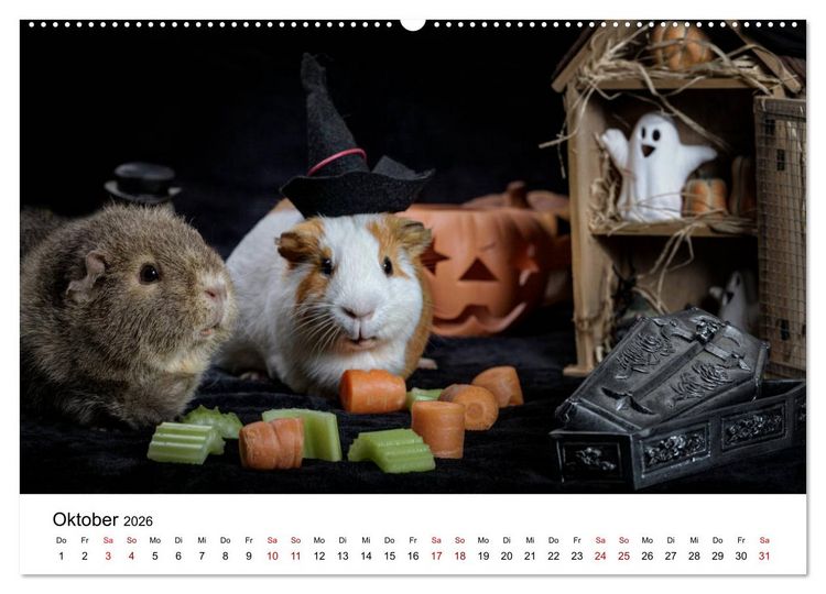 Produktbild: Unsere Meerschweinchen (hochwertiger Premium Wandkalender 2026 DIN A2 quer), Kunstdruck in Hochglanz