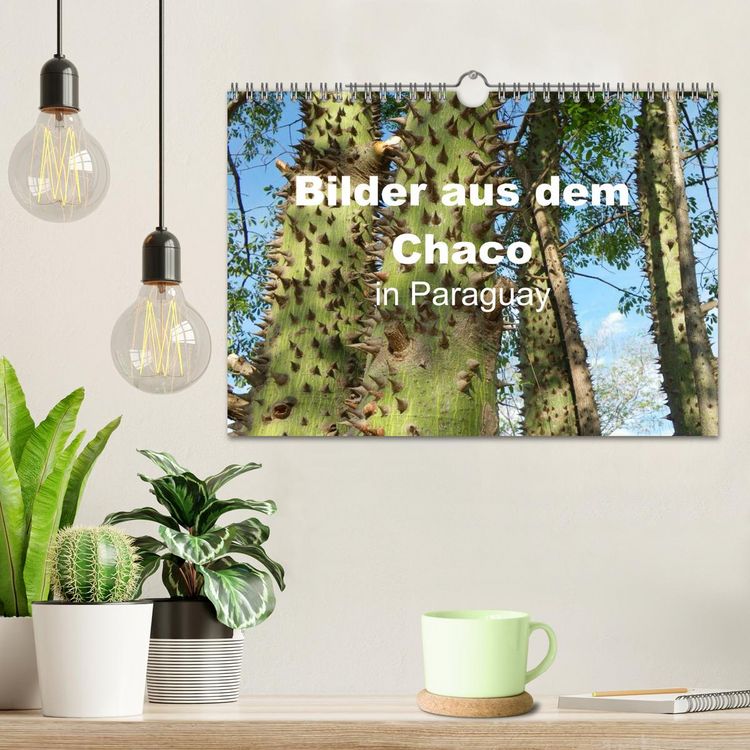 Produktbild: Bilder aus dem Chaco in Paraguay (Wandkalender 2026 DIN A4 quer), CALVENDO Monatskalender