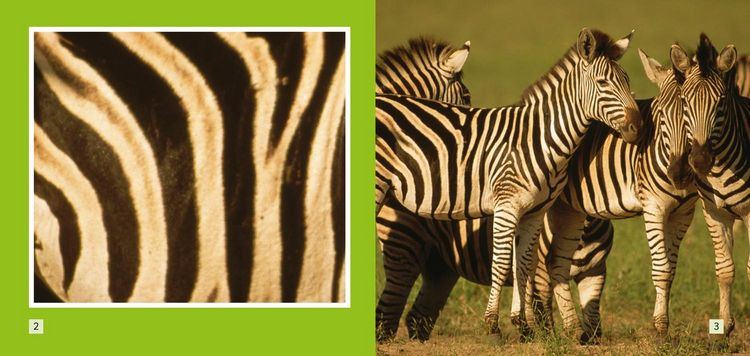 Produktbild: Stripes