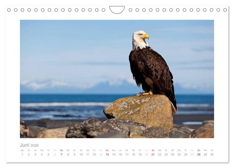 Produktbild: Alaska 2026 (Wandkalender 2026 DIN A4 quer), CALVENDO Monatskalender