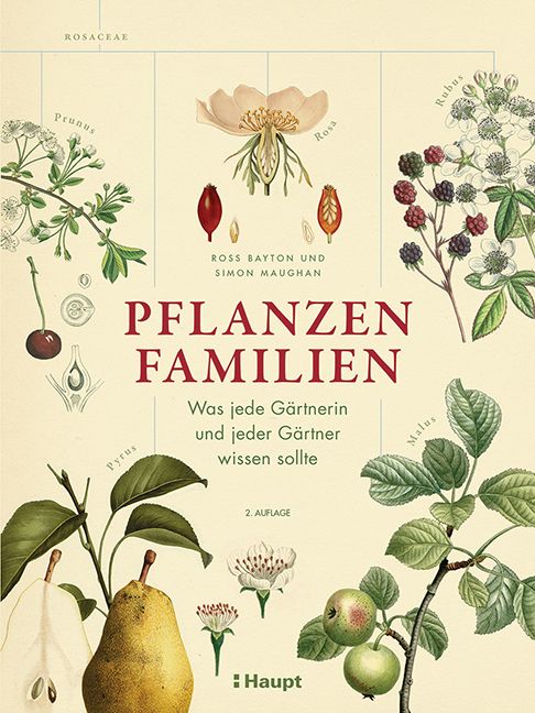 Produktbild: Pflanzenfamilien