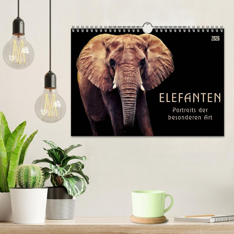 Produktbild: Elefanten - Portraits der besonderen Art (Wandkalender 2026 DIN A4 quer), CALVENDO Monatskalender