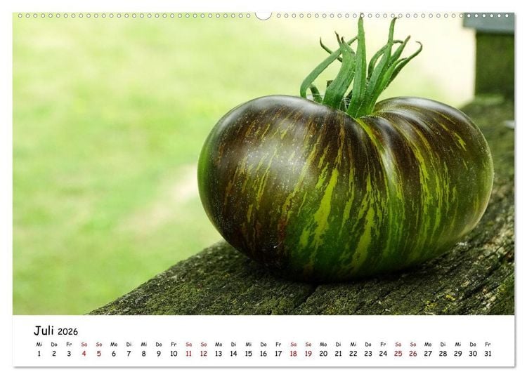 Produktbild: Tomaten Satt (Wandkalender 2026 DIN A2 quer), CALVENDO Monatskalender