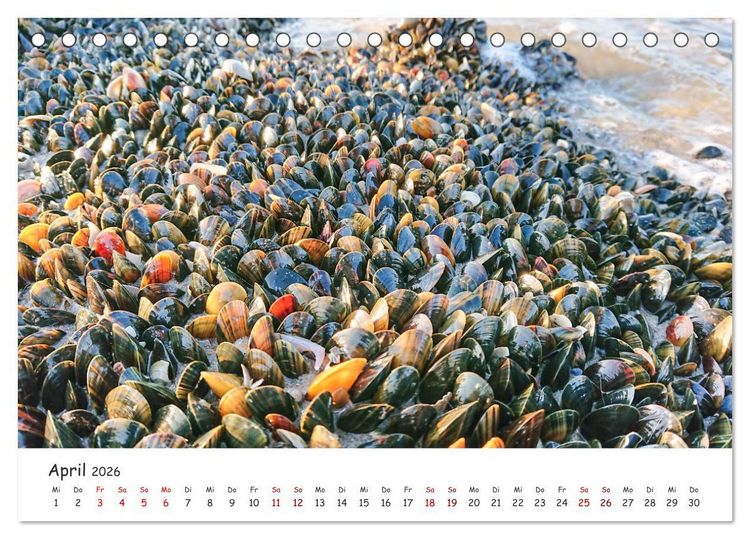 Produktbild: D&uuml;nen und Meer Nordseemomente (Tischkalender 2026 DIN A5 quer), CALVENDO Monatskalender