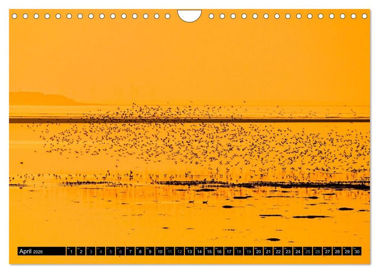 Produktbild: Einzigartige Strandansichten auf Amrum (Wandkalender 2026 DIN A4 quer), CALVENDO Monatskalender