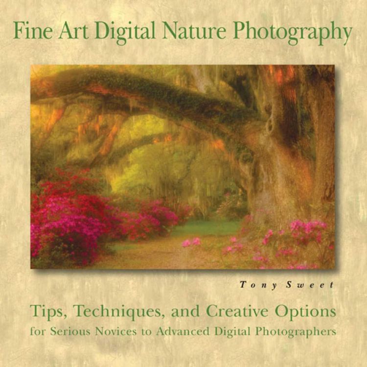 Produktbild: Fine Art Digital Nature Photography