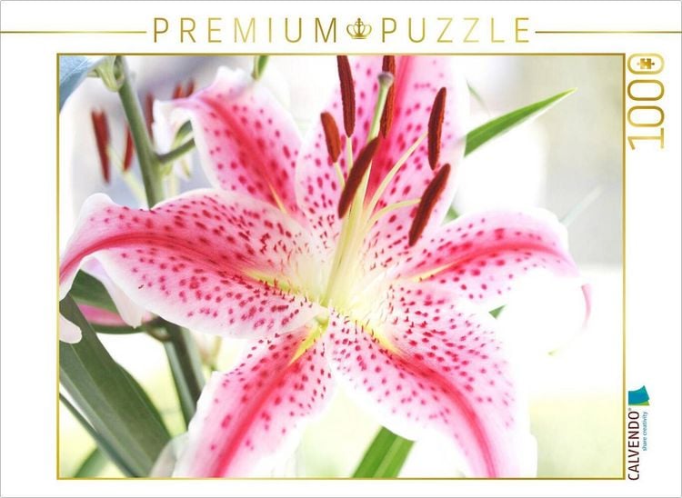 Produktbild: CALVENDO Puzzle Lilie | 1000 Teile Lege-Gr&ouml;&szlig;e 64x48cm Foto-Puzzle f&uuml;r gl&uuml;ckliche Stunden
