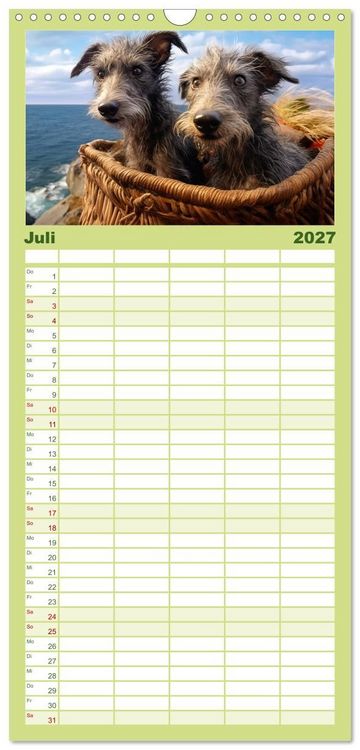 Produktbild: Familienplaner 2027 - Lurcher Portraits - Zwei Welpen entdecken die Welt mit 5 Spalten (Wandkalender, 21 x 45 cm) CALVENDO