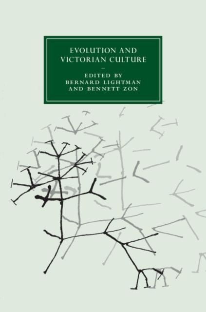 Produktbild: Evolution and Victorian Culture