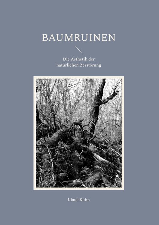 Produktbild: Baumruinen