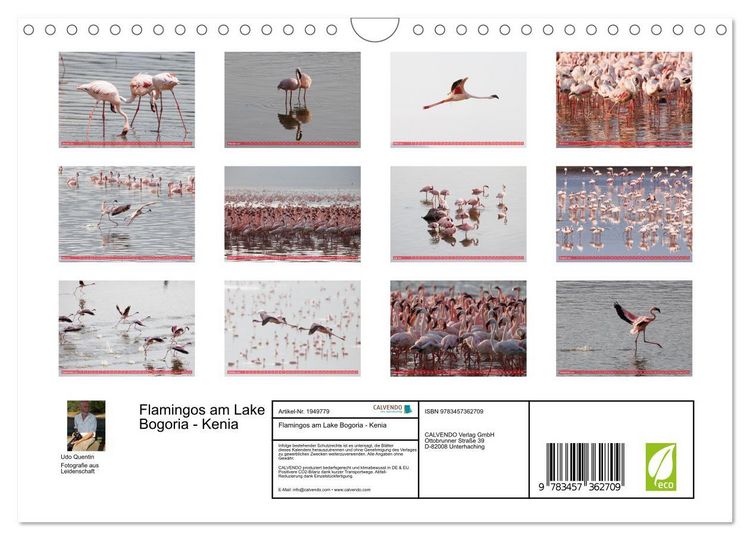 Produktbild: Flamingos am Lake Bogoria - Kenia (Wandkalender 2026 DIN A4 quer), CALVENDO Monatskalender