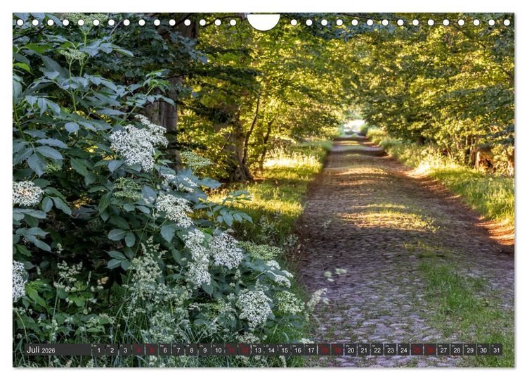 Produktbild: R&uuml;gen - Inseltraumblicke (Wandkalender 2026 DIN A4 quer), CALVENDO Monatskalender