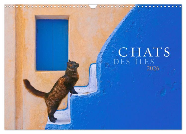 Produktbild: Chats des &icirc;les (Calendrier mural 2026 DIN A3 vertical), CALVENDO calendrier mensuel