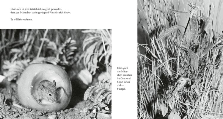 Produktbild: Das Apfelm&auml;uschen (Mini-Ausgabe)