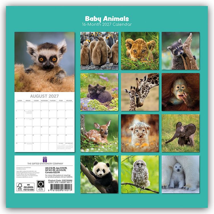 Produktbild: Baby Animals &ndash; Tierkinder 2027 &ndash; 16-Monatskalender