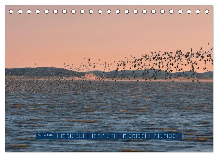 Produktbild: Ein Tag am Meer - Impressionen von der Insel Sylt (Tischkalender 2026 DIN A5 quer), CALVENDO Monatskalender