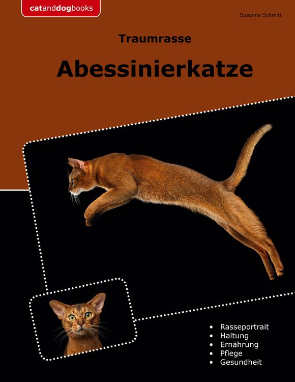 Produktbild: Traumrasse Abessinierkatze