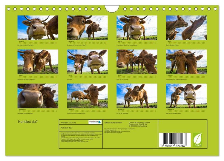 Produktbild: Kuhckst du? (Wandkalender 2026 DIN A4 quer), CALVENDO Monatskalender