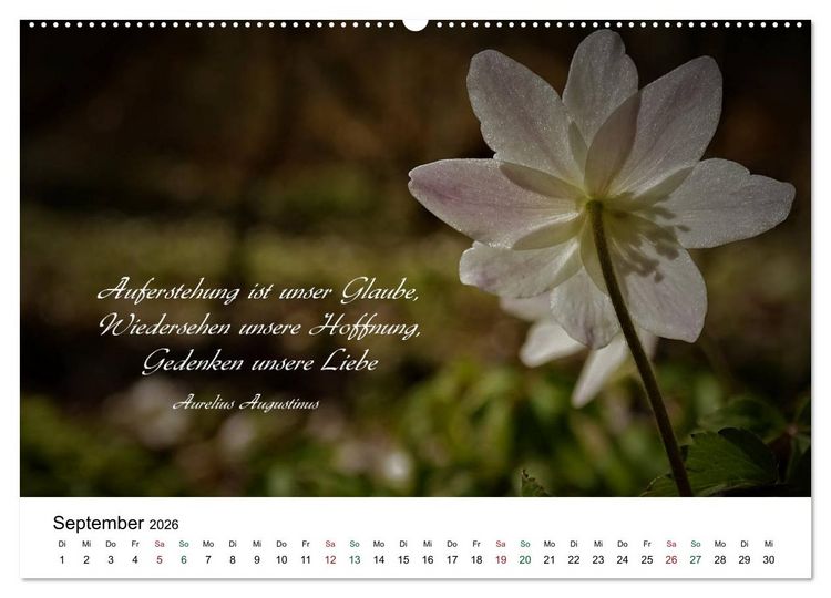 Produktbild: Zeit f&uuml;r Trauer - begleitet mit Zitaten (hochwertiger Premium Wandkalender 2026 DIN A2 quer), Kunstdruck in Hochglanz