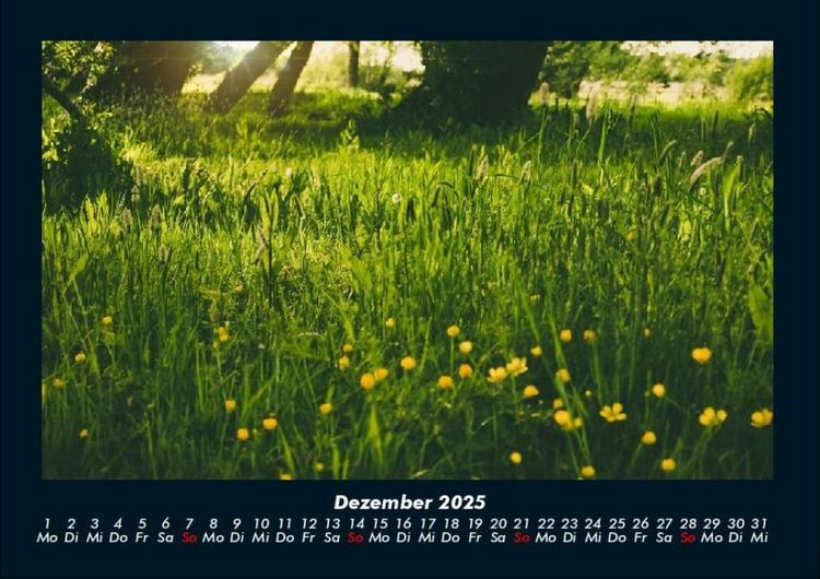 Produktbild: Blumenkalender 2025 Fotokalender DIN A4