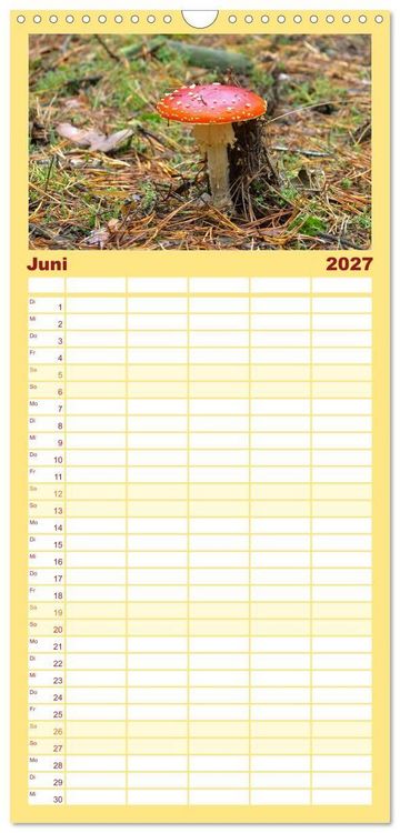 Produktbild: Familienplaner 2027 - Heimische Pilze mit 5 Spalten (Wandkalender, 21 x 45 cm) CALVENDO