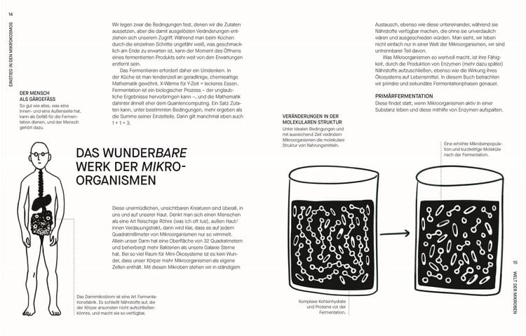 Produktbild: Fermentieren. Rezepte und Techniken f&uuml;r Geschmack, den man nicht kaufen kann