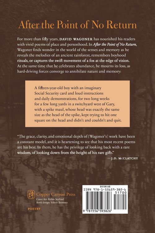 Produktbild: After the Point of No Return