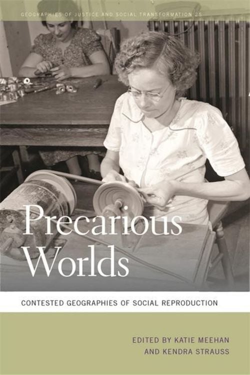 Produktbild: Precarious Worlds
