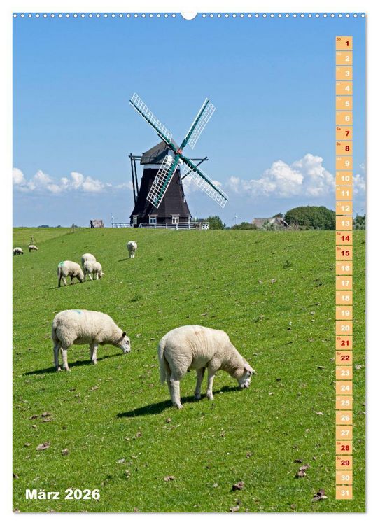 Produktbild: Deutschlands historische Windm&uuml;hlen (Wandkalender 2026 DIN A2 hoch), CALVENDO Monatskalender