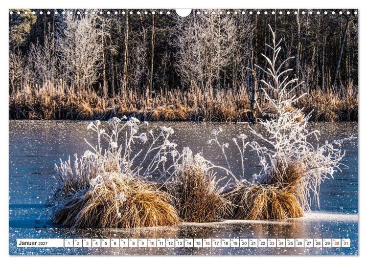 Produktbild: Das Schwenninger Moos - ein vielseitiger Lebensraum (Wandkalender 2027 DIN A3 quer), CALVENDO Monatskalender