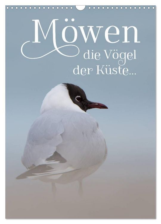 Produktbild: M&ouml;wen - die V&ouml;gel der K&uuml;ste (Wandkalender 2027 DIN A3 hoch), CALVENDO Monatskalender