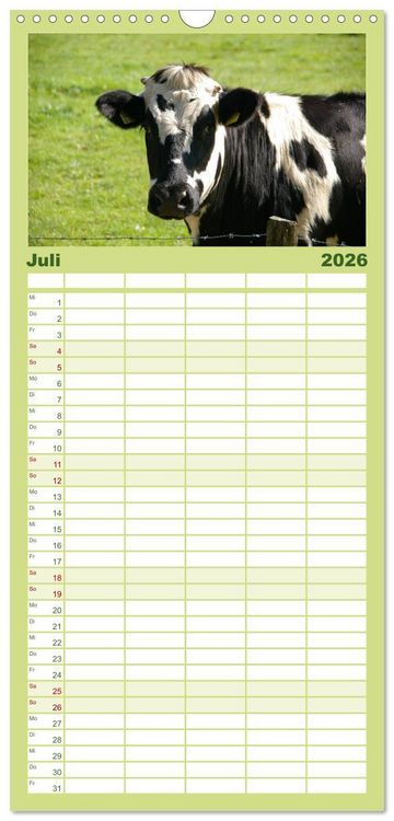 Produktbild: Familienplaner 2026 - K&uuml;he mit 5 Spalten (Wandkalender, 21 x 45 cm) CALVENDO