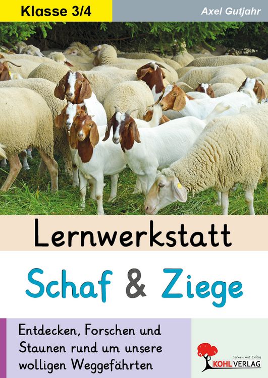 Produktbild: Lernwerkstatt Schaf und Ziege