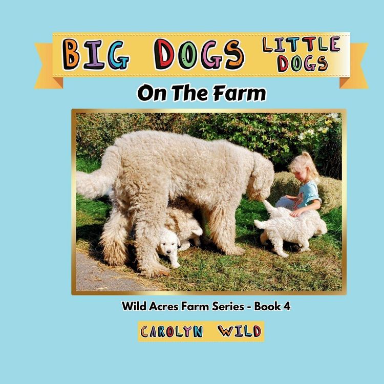 Produktbild: Big Dogs Little Dogs