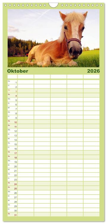 Produktbild: Familienplaner 2026 - Muh, M&auml;h, Miau & Co mit 5 Spalten (Wandkalender, 21 x 45 cm) CALVENDO