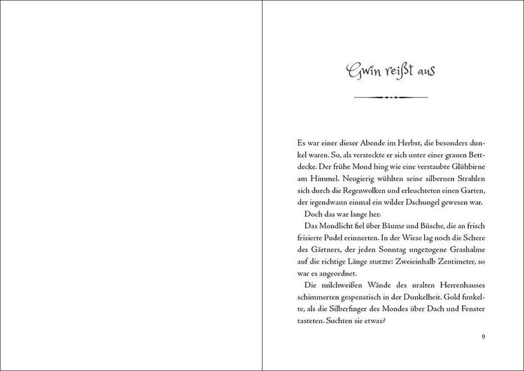 Produktbild: Gwin und das Herz des Drachen (Band 1)