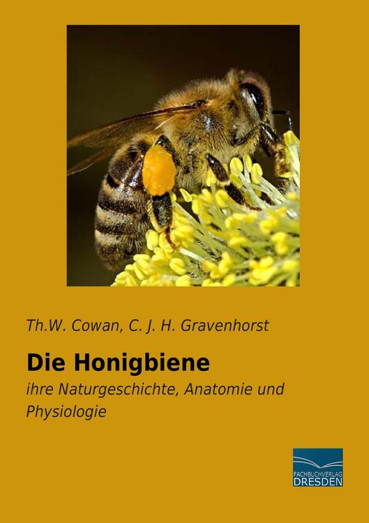 Produktbild: Die Honigbiene