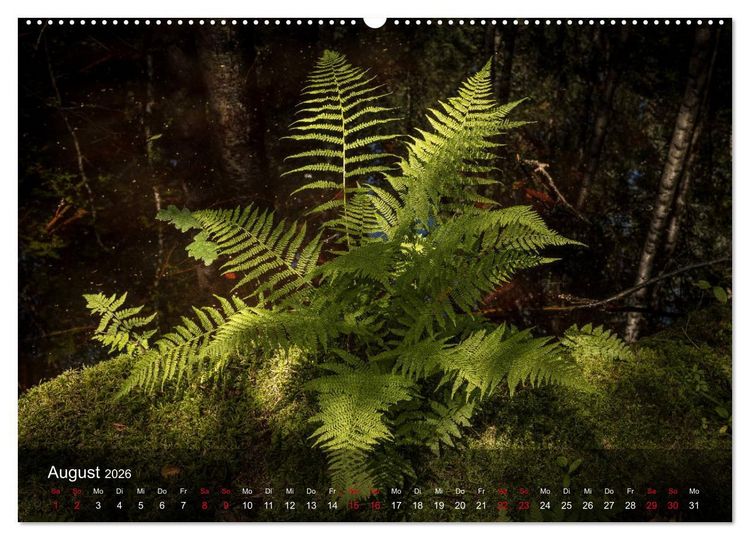 Produktbild: Naturerlebnis Aschau (Wandkalender 2026 DIN A2 quer), CALVENDO Monatskalender