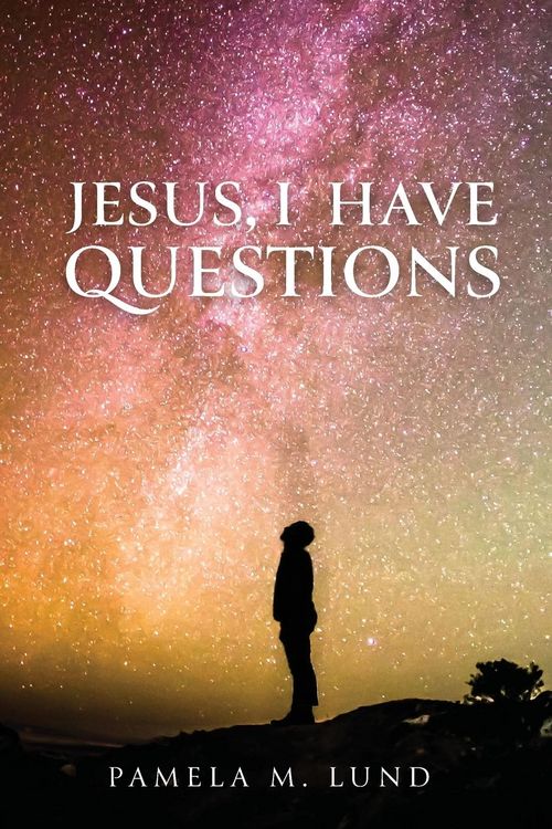 Produktbild: Jesus, I Have Questions