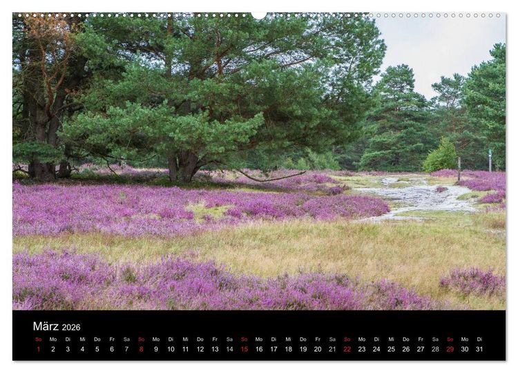 Produktbild: L&uuml;neburger Heide (hochwertiger Premium Wandkalender 2026 DIN A2 quer), Kunstdruck in Hochglanz